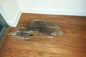 How To Deal With Water Damage Wood Floors