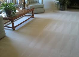 carpet rug cleaning in palm beach