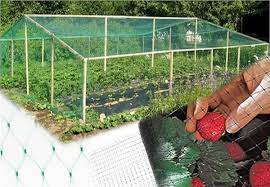 Hdpe Bird Netting Crop Protection