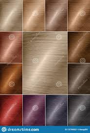 Color Chart For Tints Hair Color Palette With A Wide Range