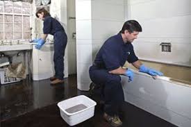 professional cleaners south kensington