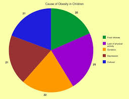Phuong Khuong Graph Chart For Causes Of Obesity In Children