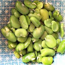 how to prepare and cook broad beans