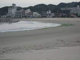 内海海水浴場・釣り | 愛知県観光協会の公式サイト【あいち観光ナビ】