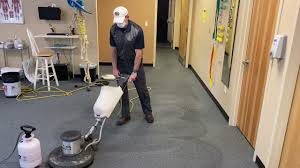 rno carpet upholstery cleaning