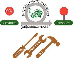 Enzymatic Conversion Of Co2 From