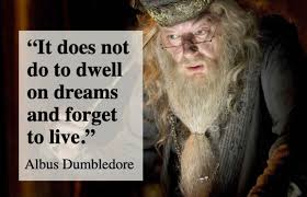 Dumbledore believed in the good in everyone, and taught us that love is the greatest magic of all. Albus Dumbledore S Dream Quote
