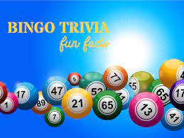 Apr 09, 2019 · the bingo players move around the area trying to be the first to get their bingo card filled up with names. Fun Bingo Trivia Facts Golden Bingo Family