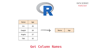 get vector of dataframe column names