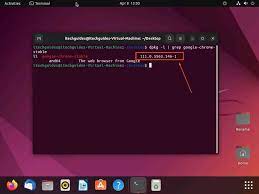 how to check chrome version in ubuntu