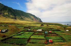 Image result for tristan da cunha pictures
