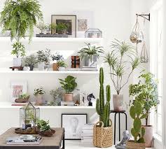 There are even trees that come complete with light ornaments, ribbons and other decorating features already included for easy setup and positioning anywhere inside or outside the home. 34 Best Artificial Plants 2021 The Strategist New York Magazine