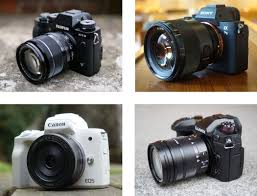best mirrorless camera 2022 cameralabs