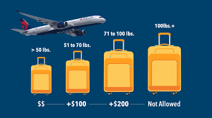 Delta Baggage Fees In 2022 And 7 Ways