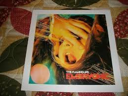 the flaming lips embryonic lithograph