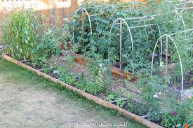 How To Start An Organic Garden Simple