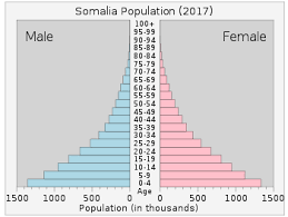 Demographics Of Somalia Wikipedia