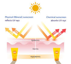 chemical sunscreen vector