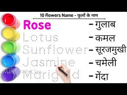 10 flowers name in english and hindi