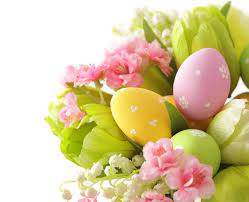 Фотографии Пасха яйцами Тюльпаны Цветы Ландыши Праздники белом фоне
