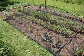 Pond Netting With Frame Is A Functional