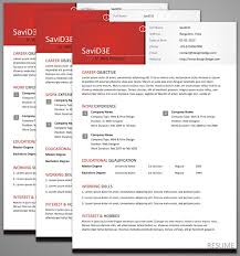 Image result for resume for professional