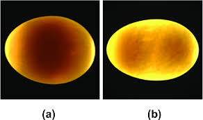 Typical Color Images Of Duck Egg Samples A From Sy Egg