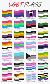 I feel like having a million and one different flags makes our rights seem more like a quirky hobby or personality trait than a real cause. Set Of 28 Lgbt Flags 540861 Vector Art At Vecteezy