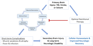 nutrition after brain injury