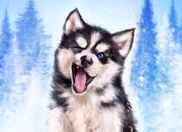 Change the way you see your phone with your preferred wallpaper. Wallpaper Husky Cute Baby Wallpaper Husky Cute Puppy Novocom Top