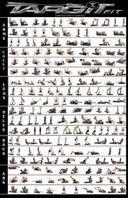 Commfatadual Exercise Chart