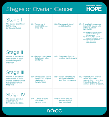 When this process begins, there may be no or only vague symptoms. Types Stages National Ovarian Cancer Coalition