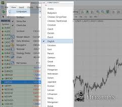 These currencies are ripple, litecoin, ethereum, bitcoin, and bitcoin cash. How To Change The Language Setting On Mt4 And Mt5 Trading Platform Faq Fbs Hercules Finance