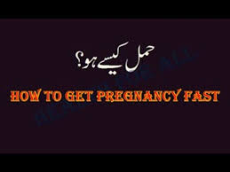 We did not find results for: How To Get Pregnancy Fast Tips In Urdu Jaldi Pregnant Hone Ke Liye Hamal Kaise Hota Hai Video Dailymotion