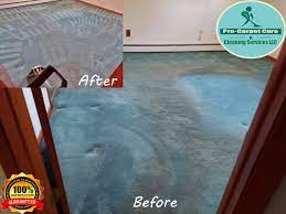 westfield rug carpet cleaning new