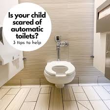 Fear Of Automatic Toilets 3 Ways To