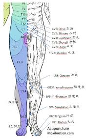Acupuncture Needle Placement Chart Pngline