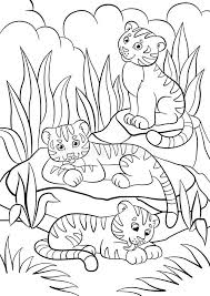 Free printable zentangle tiger coloring pages for adults and teens. Coloring Pages Wild Animals Three Little Cute Baby Tigers Stock Vector Illustration Of Drawing Color 73405399