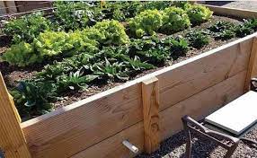 Raised Garden Beds Can Help Your Family