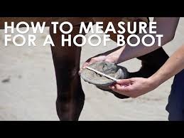 Best Horse Soaking Boots 2019 Reviews Buying Guide