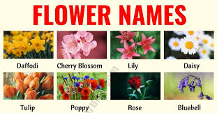 flower names list of 25 por types