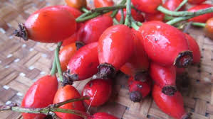 Image result for rosehips nz