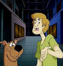 Image result for scooby doo and shaggy