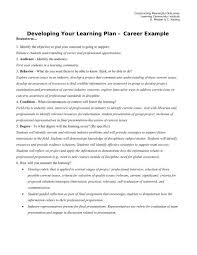 developing your learning plan sles pdf