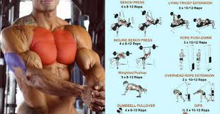 chest and triceps sut workout