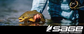 best colorado fly fly fishing