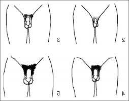 Pubic hair is decisively different from the hair on your head. Pin On Hairstyles For Men
