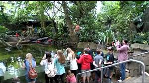 moody gardens is a destination for swla