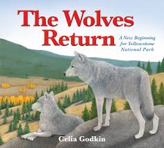 Notes on exploring yellowstone national park. The Wolves Return A New Beginning For Yellowstone National Park Godkin Celia Godkin Celia 9781772780116 Books Amazon Ca