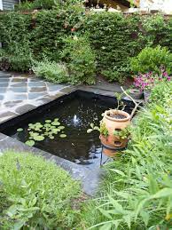 small fish pond as you like it
